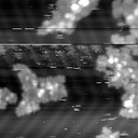 m30532_ori