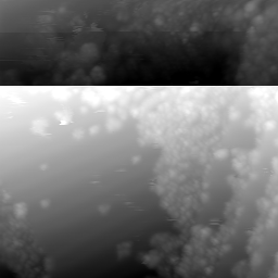 m30548_ori