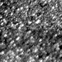 m30554_ori