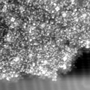 m30569_ori