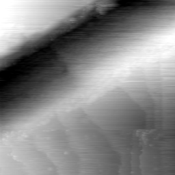 m30665_ori