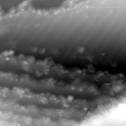 m30721_ori