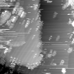 m30817_ori