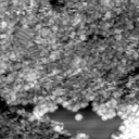 m30884_ori