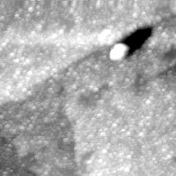 m30888_ori