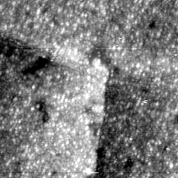 m30899_ori