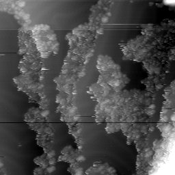 m30976_ori