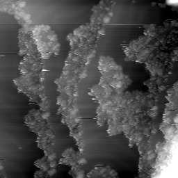 m30976_ori
