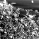 m31079_ori