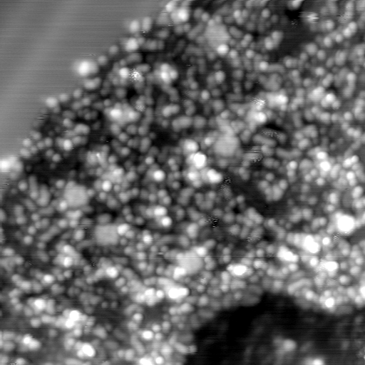m31092_ori