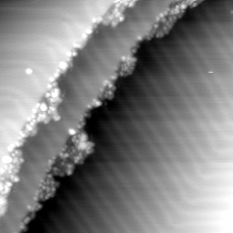 m31147_ori