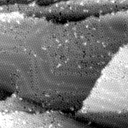 m31344_ori