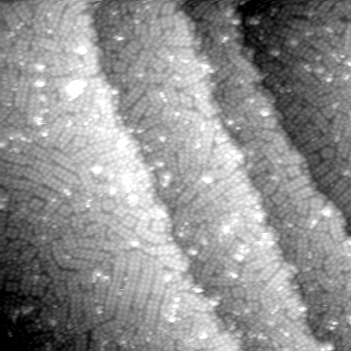 m31419_ori