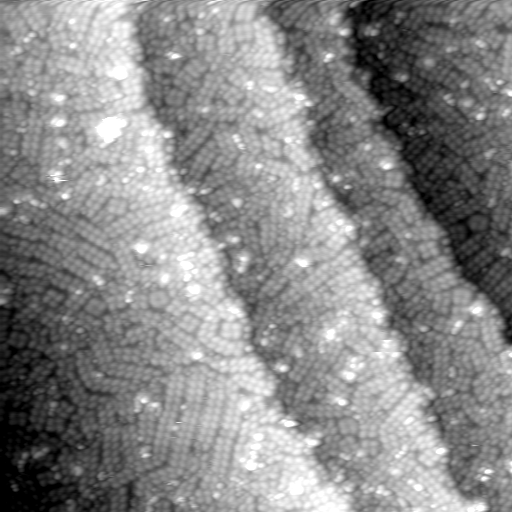 m31419_ori