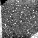 m31544_ori
