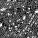 m31545_ori
