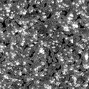 m31656_ori