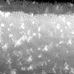 m31720_ori