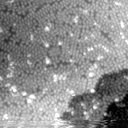 m31801_ori
