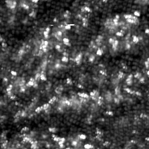 m31813_ori