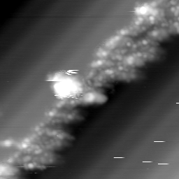 m31979_ori