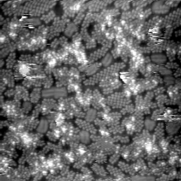 m32096_ori