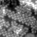 m32105_ori