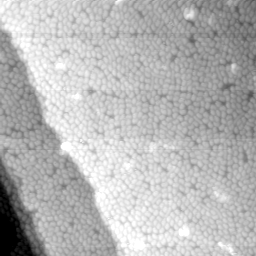 m32268_ori