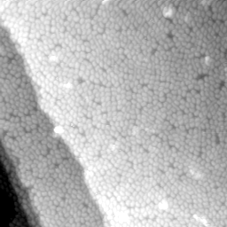 m32268_ori