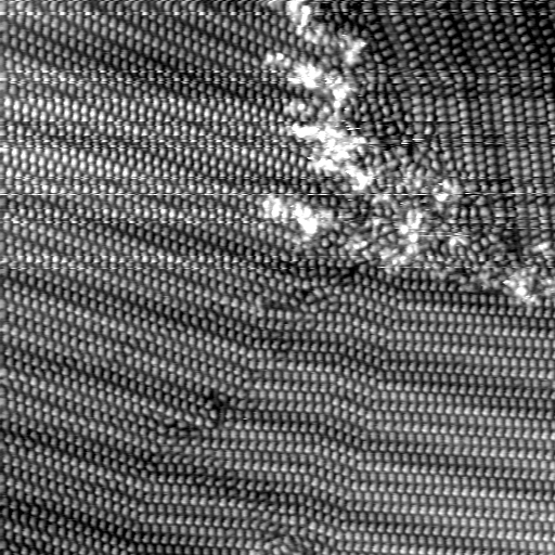 m32419_ori