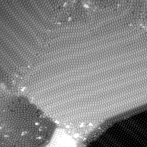 m32426_ori