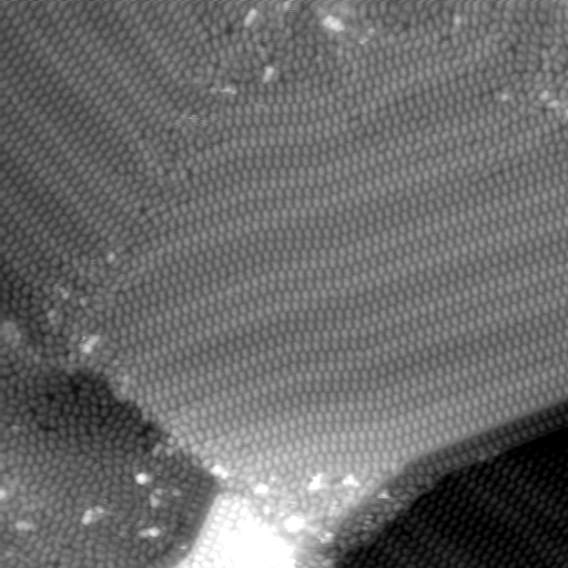 m32426_ori