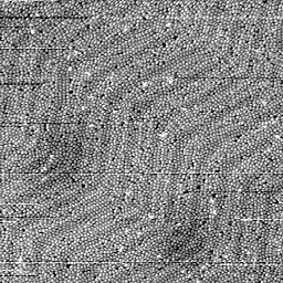 m32491_ori