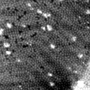 m32504_ori