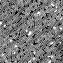 m32604_ori