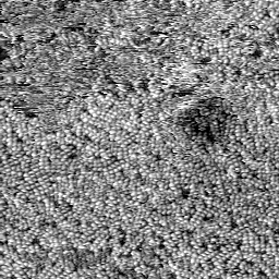 m32644_ori