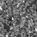 m32662_ori
