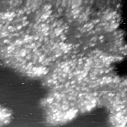 m3635_ori
