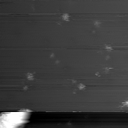 m3843_ori