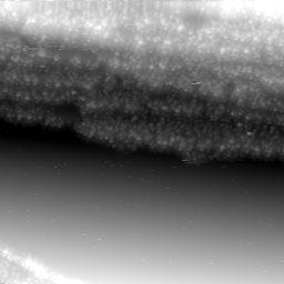 m3859_ori