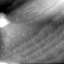 m3872_ori