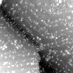 m3879_ori