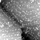 m3879_ori