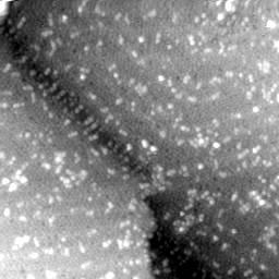 m3879_ori