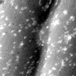 m3891_ori