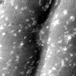 m3891_ori