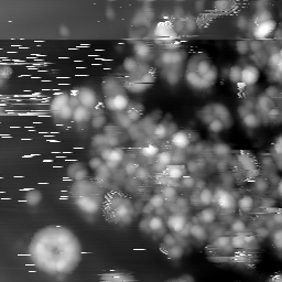 m4767_ori