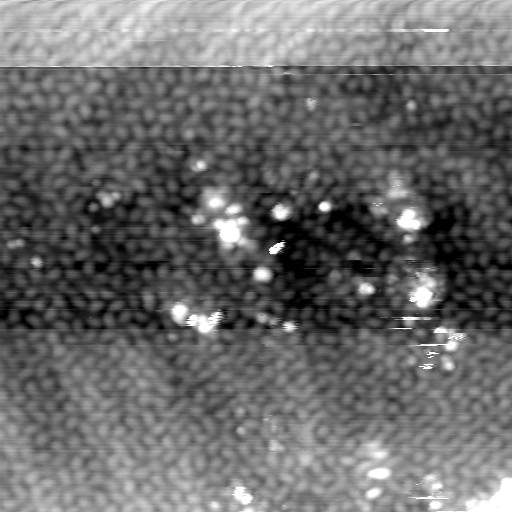 m5333_ori