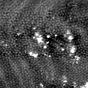 m5333_ori