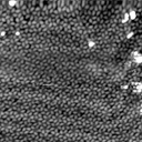 m5336_ori